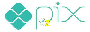 9z Pix